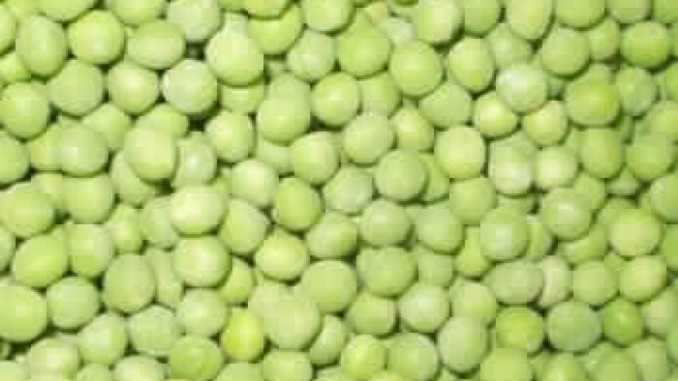 Natural-green-marrowfat-peas-for-sale.jpg_350x350