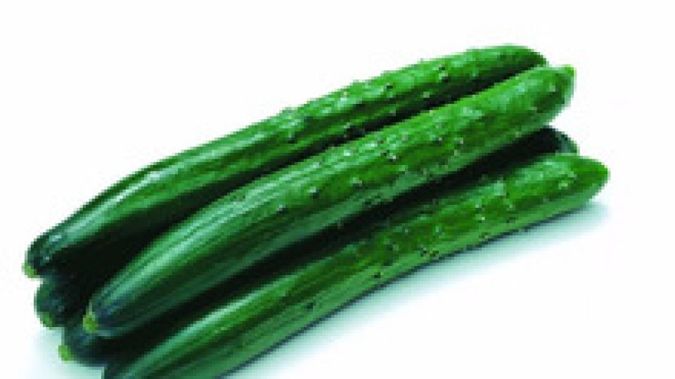 fresh-cucumber-sales-egyptian-cucumber-price-of.jpg_220x220