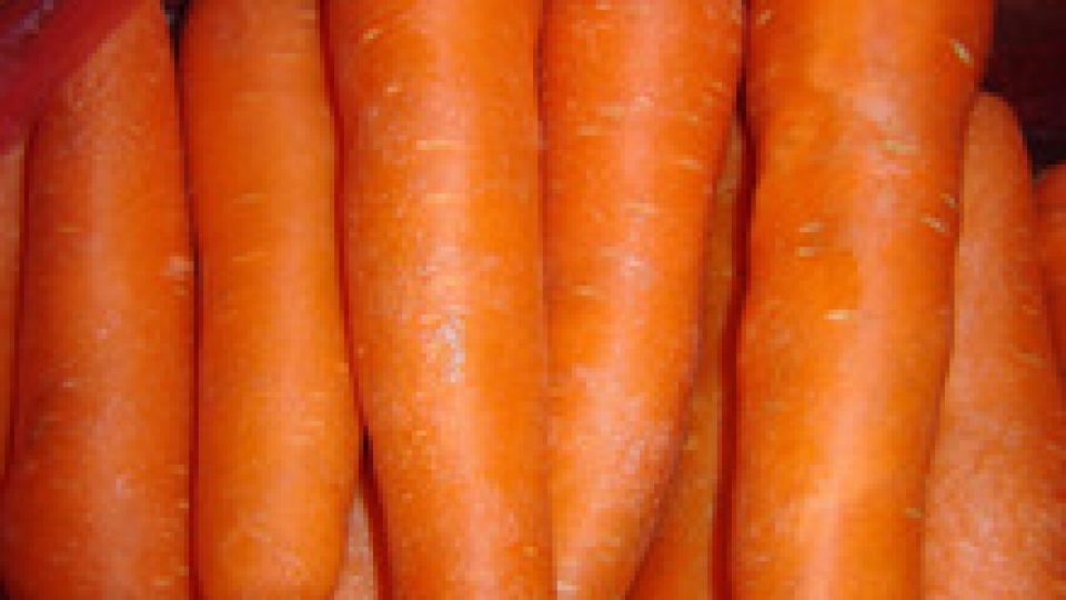 wholesale-fresh-baby-carrots-for-sale.jpg_220x220