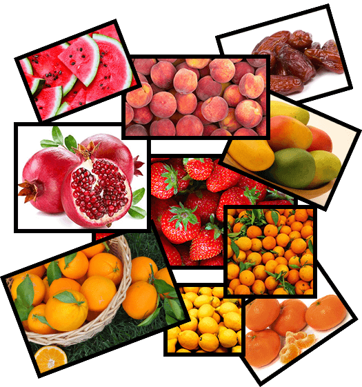 fruits (1)
