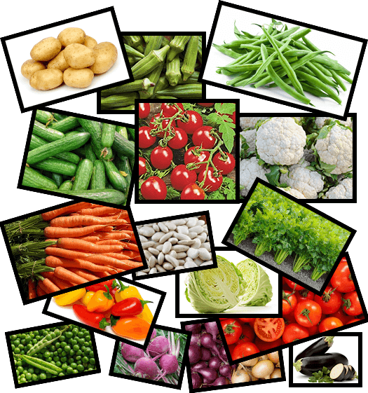 vegetables (1)